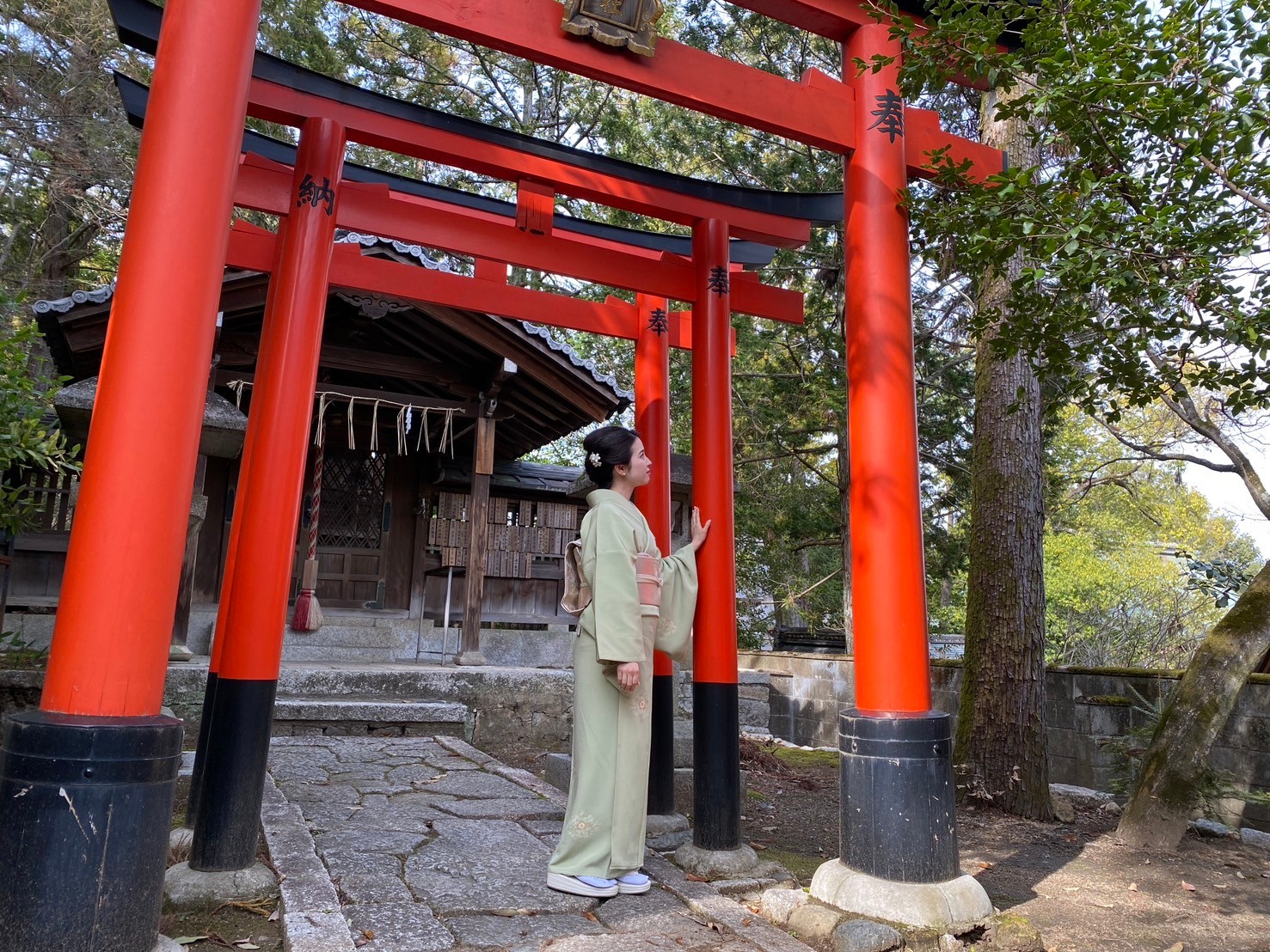 着物を着た女性と京都の風景の写真